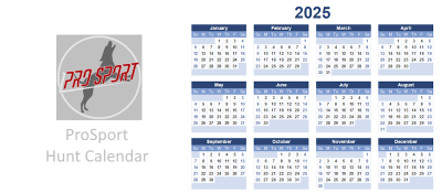 2025_yearly_calendar_landscape.png